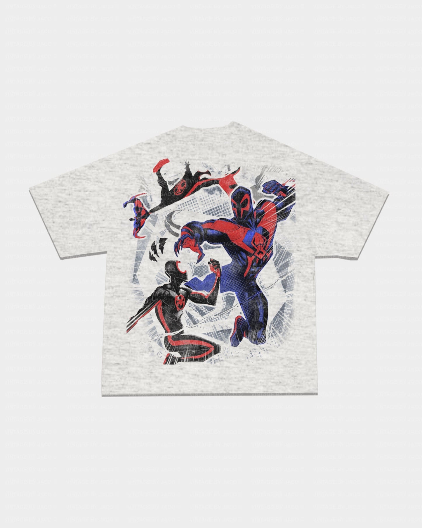 ACROSS THE SPIDERVERSE TEE - [DS]